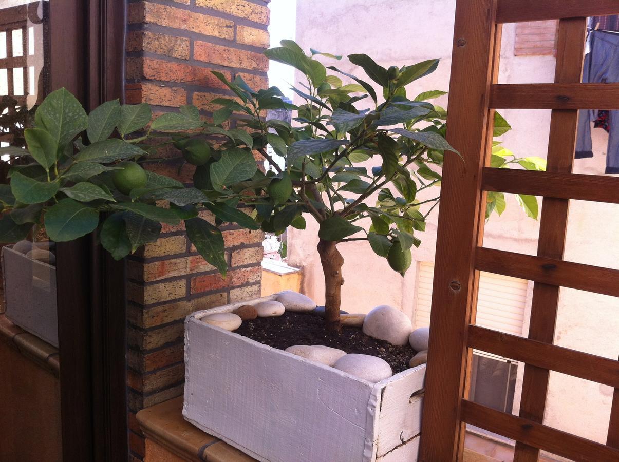 Guest House La Corte Normanna Sciacca Luaran gambar